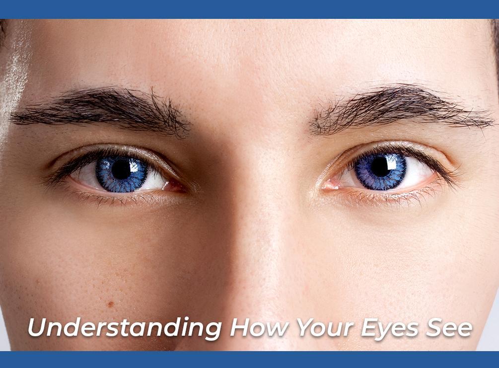 Understanding How Your Eyes See